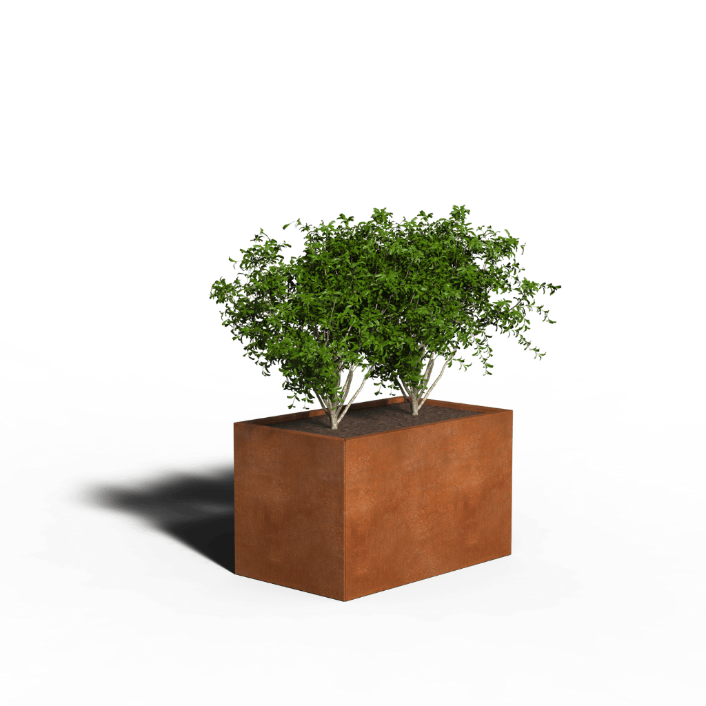 Jardinière rectangulaire en acier Corten | 100 x 60 x 60 | Avec fond