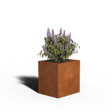 Jardinière rectangulaire en acier Corten | 60 x 50 x 40 | Sans fond