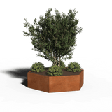 Jardinière en acier corten hexagonale 208 x 30