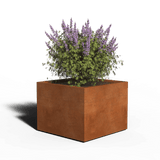 Bac à plantes carré en acier Corten | Soudé | 80 x 80 x 60 | Avec fond