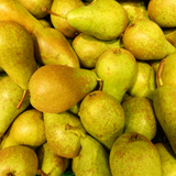 Poirier biologique Pyrus - 60 cm - Ø20