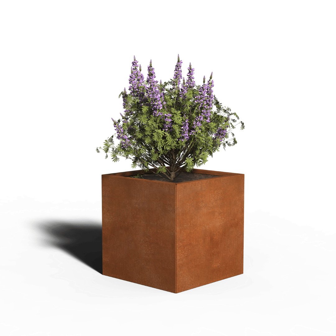 Fioriera quadrata in acciaio Corten | 60 x 60 x 40 | Senza fondo