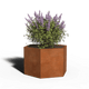 Hexagonal