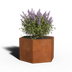 Cortenstaal Plantenbak Zeshoek