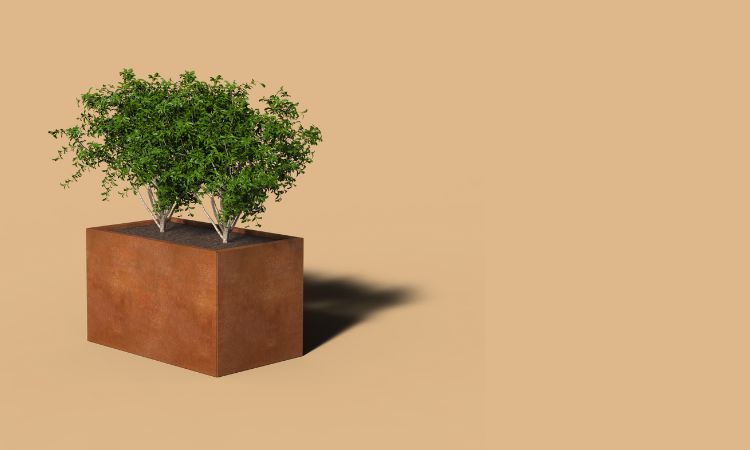 cortenstaal plantenbak rechthoek